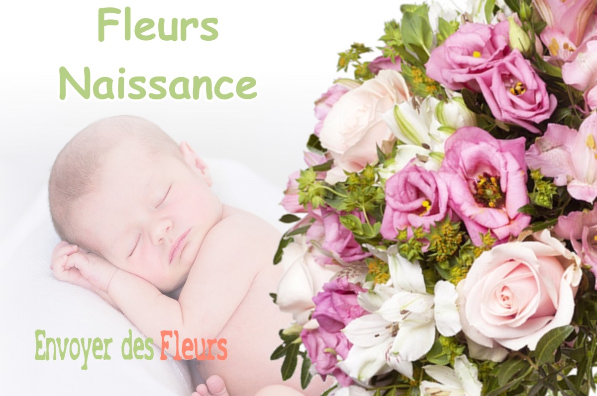 lIVRAISON FLEURS NAISSANCE à LOUVEMONT-COTE-DU-POIVRE